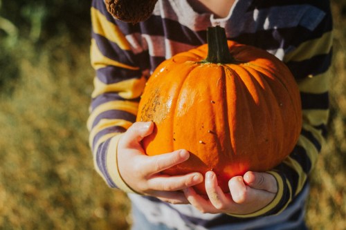 A child in a striped sweater holds a bright orange pumpkin in a sunny outdoor setting.