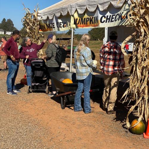 A group of people at a pumpkin patch, waiting in line under a tent decorated with corn stalks.