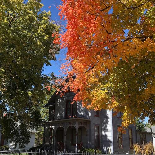 A charming gray house surrounded by vibrant autumn trees with red and orange leaves against a clear blue sky.