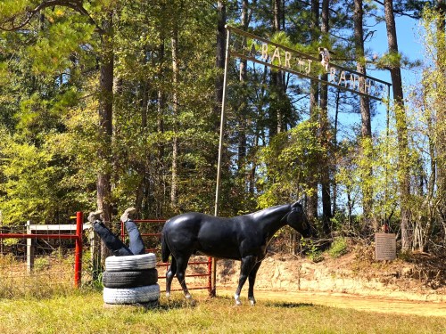 A black horse stands beside a person upside down in tires, with a rustic sign and trees in the background.
