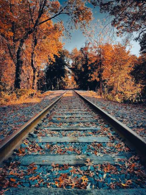 A tranquil railway track surrounded by vibrant autumn foliage and fallen leaves under a clear sky.