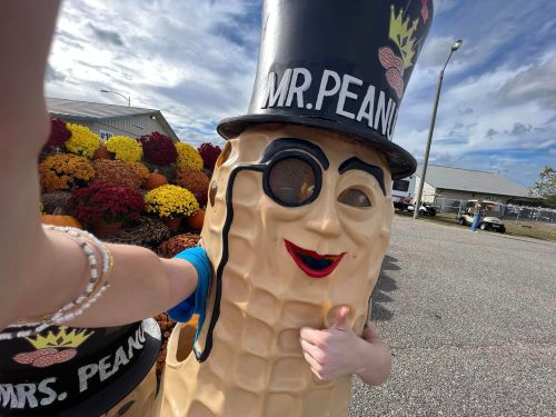 A person in a peanut costume gives a thumbs up, standing in front of colorful mums and pumpkins on a sunny day.