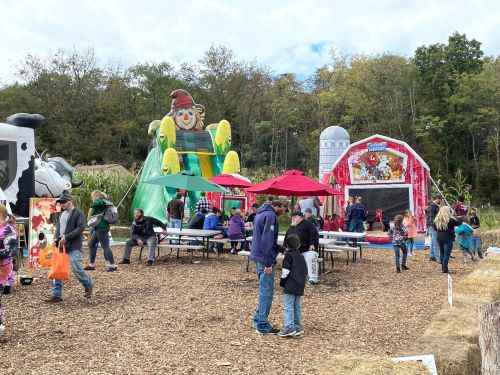 A lively outdoor scene with families enjoying inflatable attractions, picnic tables, and festive decorations in a park setting.