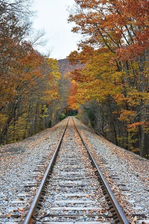 A tranquil railway track lined with vibrant autumn trees and fallen leaves, leading into the distance.