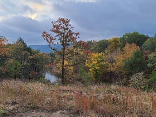 A scenic view of a river surrounded by trees with autumn foliage under a cloudy sky.