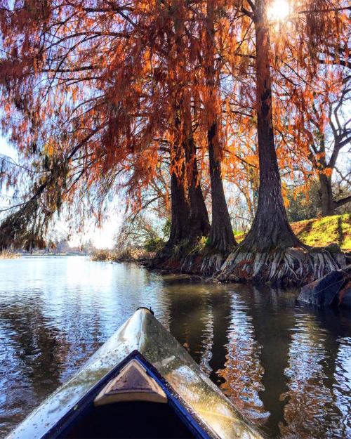 A canoe on a calm river surrounded by tall trees with vibrant autumn leaves and sunlight filtering through.