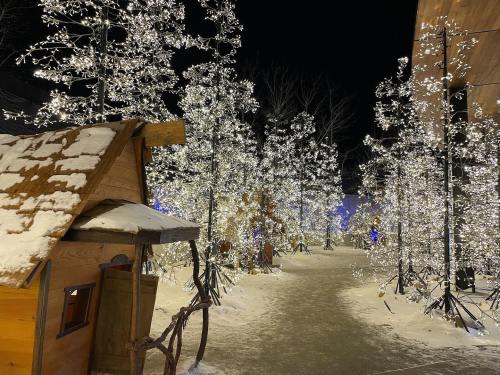 A snowy pathway lined with illuminated trees and a small wooden cabin, creating a magical winter scene at night.