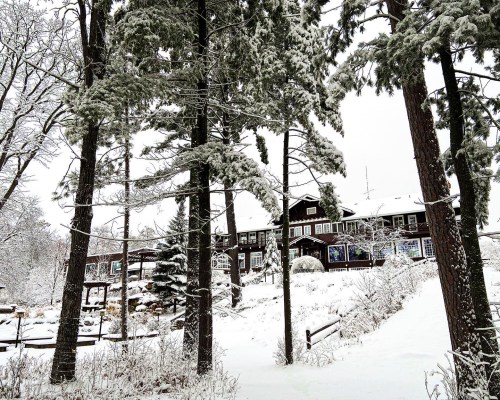 A snowy landscape featuring tall trees and a rustic building in the background, surrounded by a winter wonderland.