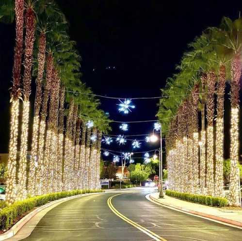 A beautifully lit palm tree-lined street at night, adorned with festive lights and snowflake decorations.