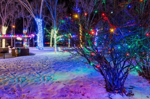 A snowy park at night, adorned with colorful holiday lights on trees and bushes, creating a festive atmosphere.
