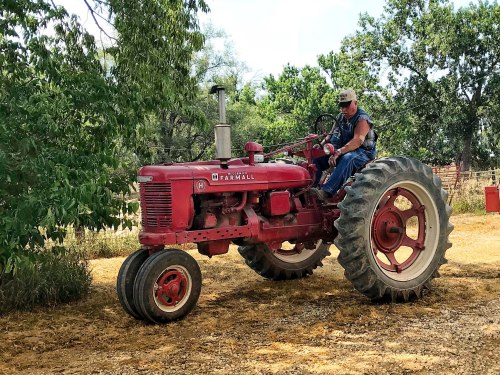 A man drives a red Farmall tractor through a rural landscape with trees in the background.