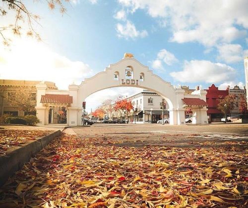 A picturesque archway in Lodi, framed by colorful autumn leaves and a bright sky.