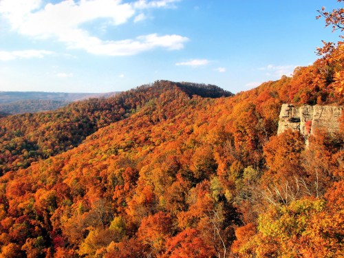 A vibrant autumn landscape with rolling hills covered in orange and yellow foliage under a blue sky.