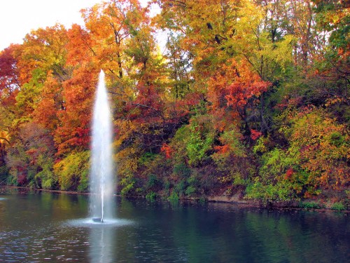 A fountain sprays water into a serene pond, surrounded by vibrant autumn foliage in shades of orange and yellow.