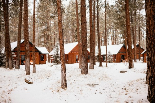 Cozy wooden cabins nestled among tall pine trees in a snowy forest landscape.
