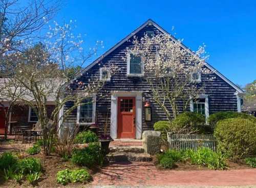 A charming dark wooden house with blooming trees and a clear blue sky, surrounded by lush greenery and a brick pathway.