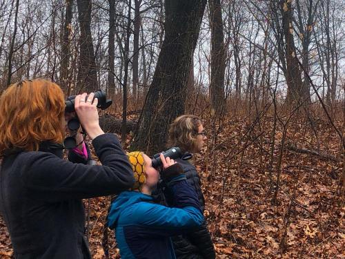 Three people in a forest, using binoculars to observe nature, surrounded by trees and fallen leaves.