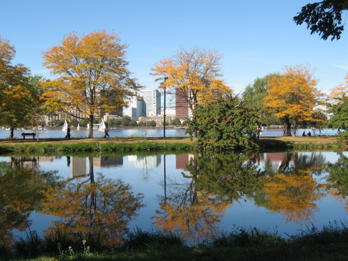 A serene park scene with vibrant autumn trees reflecting in a calm lake, city buildings visible in the background.