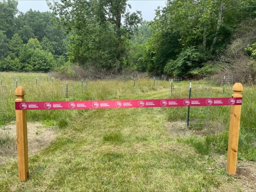 A wooden gate with a pink ribbon across a grassy path leading into a wooded area.