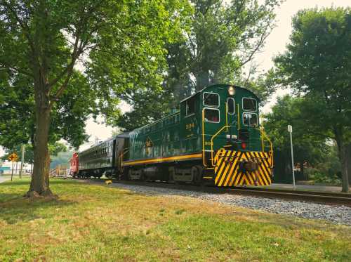 A green and yellow vintage train passing through a tree-lined area, with a red train car behind it.