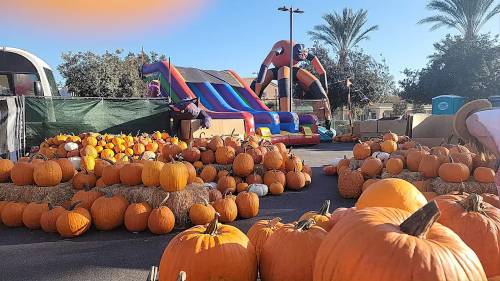 7 Of The Absolute Best Pumpkin Patches In Nevada In 2024