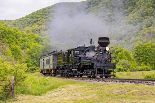 A vintage steam train travels along a scenic track surrounded by lush green hills and trees.