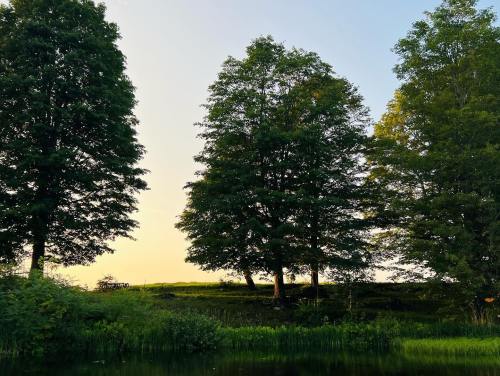 Silhouetted trees against a soft sunset sky, reflecting on calm water below.