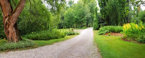 A serene gravel path winding through lush greenery and vibrant flowers in a peaceful garden setting.