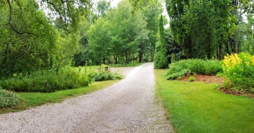 A serene gravel path winding through lush greenery and vibrant flowers in a peaceful garden setting.