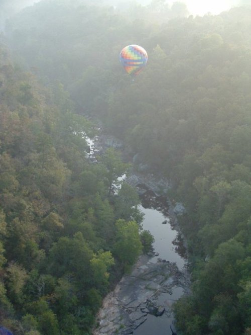A colorful hot air balloon floats above a misty forest and winding river, surrounded by lush greenery.