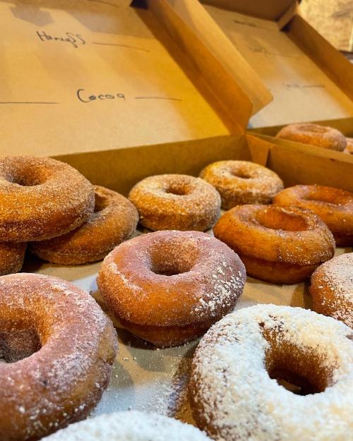 A close-up of assorted donuts, some dusted with powdered sugar, arranged in open boxes.
