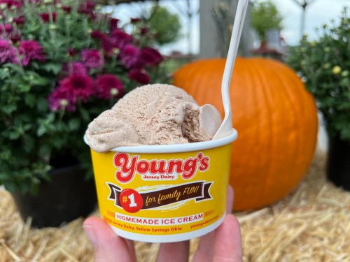 A hand holding a cup of chocolate ice cream from Young's Jersey Dairy, with a pumpkin and flowers in the background.