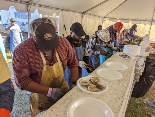 A group of people shucking oysters at a seafood festival under a tent, with plates lined up for the oysters.