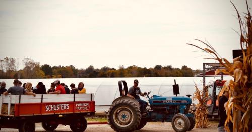 A blue tractor pulls a wagon of people at a pumpkin patch, with a greenhouse and autumn scenery in the background.