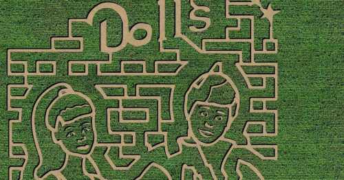 Aerial view of a corn maze featuring cartoon-like characters and the word "Dolls" carved into the greenery.