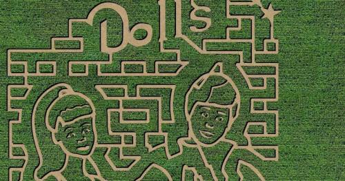 Aerial view of a corn maze featuring cartoon-like characters and the word "Dolls" carved into the greenery.