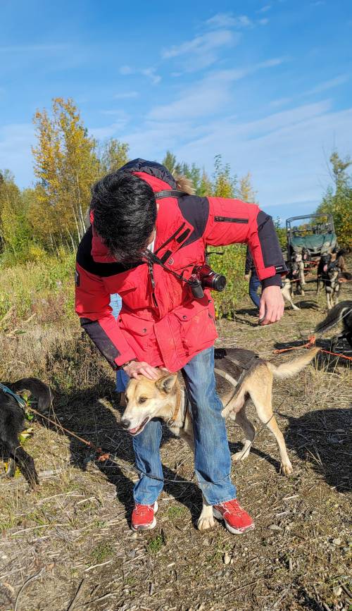 A person in a red jacket pets a dog in a sunny outdoor setting with trees in the background.