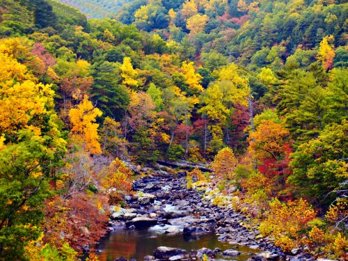 A vibrant autumn landscape featuring a winding river surrounded by colorful trees in shades of orange, yellow, and green.