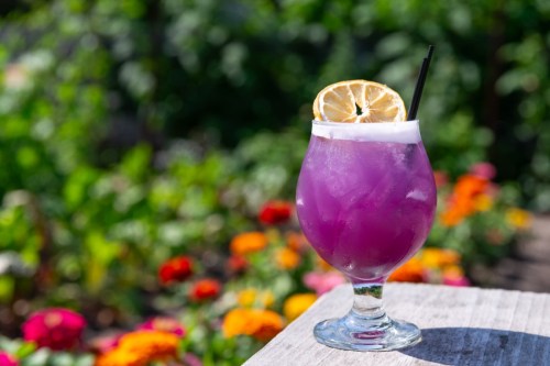 A vibrant purple cocktail garnished with a lemon slice, set against a colorful garden backdrop.