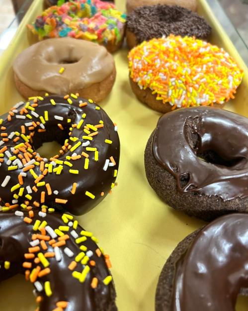 A tray of assorted donuts, featuring chocolate, sprinkles, and colorful toppings.