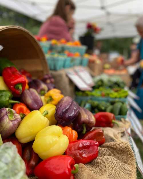 A variety of colorful bell peppers displayed at a farmers market, with people browsing in the background.