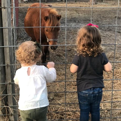 Two children stand by a fence, looking at a brown pony in a farm setting. One child wears a white shirt, the other a dark one.