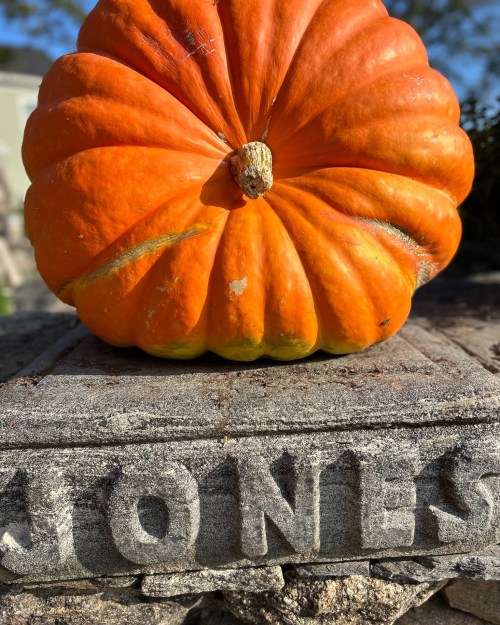 A large orange pumpkin rests on a stone surface with the name "JONES" carved into it.