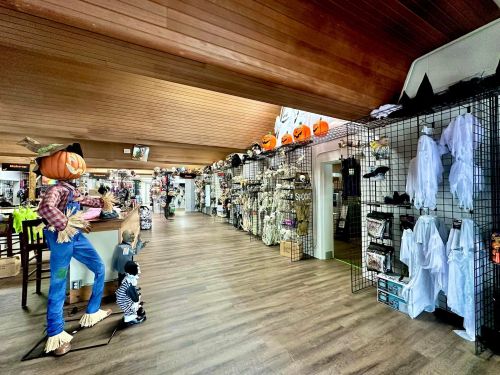A decorated store aisle filled with Halloween costumes, decorations, and a scarecrow figure with a pumpkin head.