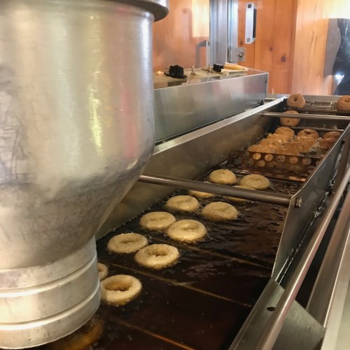 Freshly made donuts frying in hot oil on a conveyor belt in a wooden interior setting.