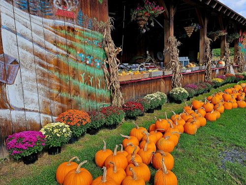 A rustic farm stand with colorful pumpkins and flowers, set against a wooden backdrop with a mural.