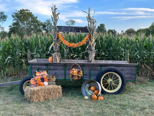 A rustic wooden wagon decorated with autumn leaves, pumpkins, and hay, set against a cornfield backdrop.