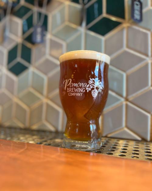 A glass of amber beer with a frothy head, featuring the logo of Pomona's Brewing Company, on a tiled bar counter.