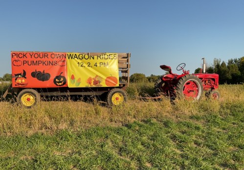 A red tractor next to a wagon with signs for pumpkin picking and wagon rides in a field.
