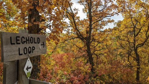 Wooden sign pointing to "Lechold Loop" amidst vibrant autumn foliage and trees.